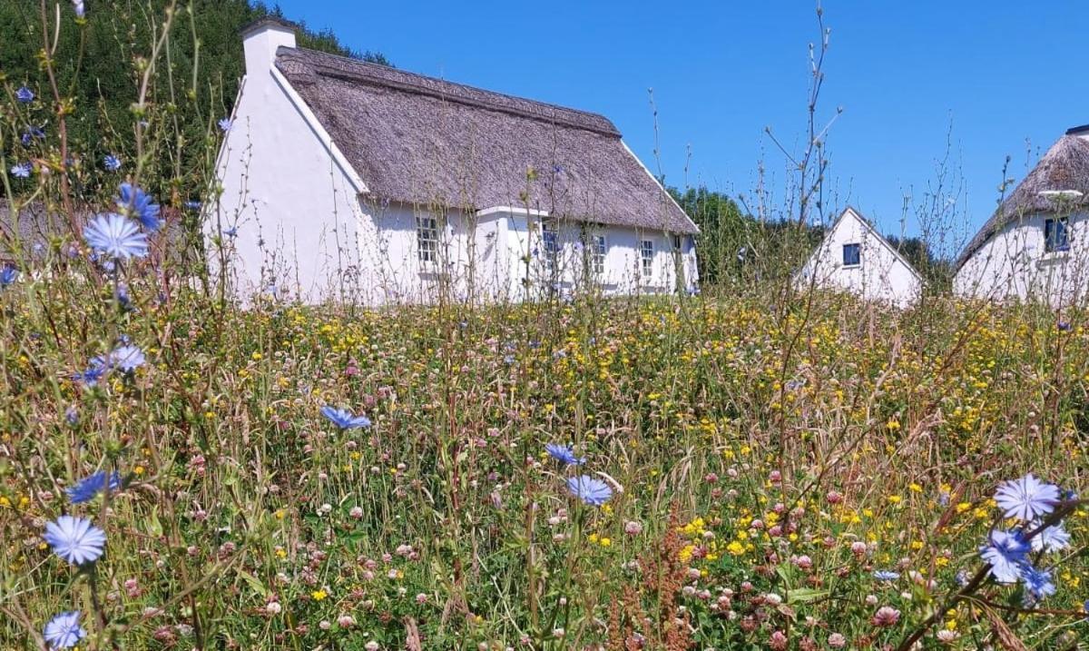 Corofin Lake Cottages Eksteriør billede
